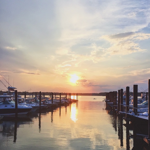 Meet your Posher, Jan - Picture 1 of 1